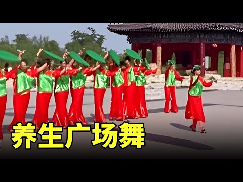 养生广场舞｜热门网红音乐+优雅舞步·乐活社交新方式 #广场舞