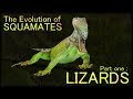 Reptile Adaptations and Features