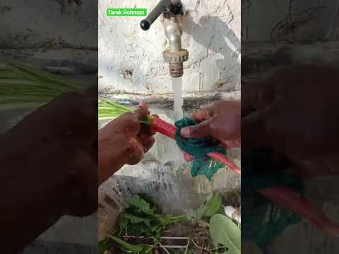 āĻāϤ āϤāĻŋāύ āĻŽāĻžāϏ āĻāĻā§