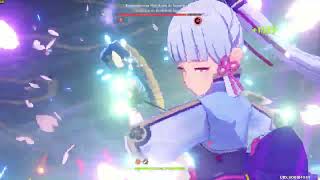 Genshin Impact Raiden Boss (Ayaka burst dmg)