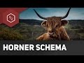 horner-schema-tsm/