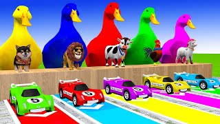 Long Slide Game With Cow Elephant Gorilla Hippopotamus Tiger 3d Animal Game Funny 3d Animals