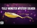 Tully Monster Classification and Discovery