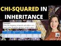 Applying Chi-Squared to Mendelian Genetics