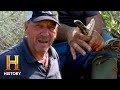Snake Capture Strategies and Observations