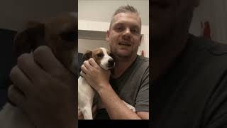 Tip #2 For A Jack Russell In An Apartment: Crate Training