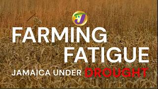 YouTube video thumbnail: J'can Farmers Are Running Out of Water | Farming Fatigue - Jamaica Under Drought (2026)