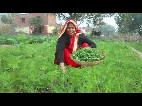 खेत की ताजी हरी मैथी की खस्ता पूरी एक बार मेरे तरीके से बनाऐ तो उंगलिया चाटते रह जाऐ | Methi ki Puri