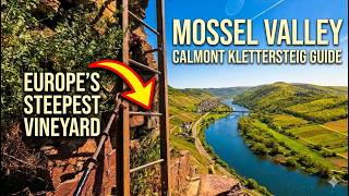 The Most Epic Hike at the Mosel: CALMONT Klettersteig Guide