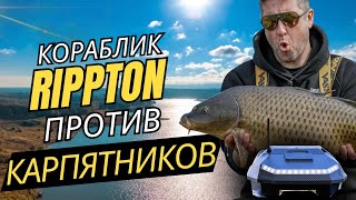 Карпфишинг на Павловском: КОРАБЛИК Rippton БРОСАЕТ ВЫЗОВ Классической ловле карпа