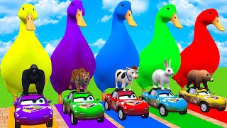 5 Giant Duck Cartoon, Cow, Mammoth, Elephant, Tiger, Paint Wild Animals Crossing Fountain Animation