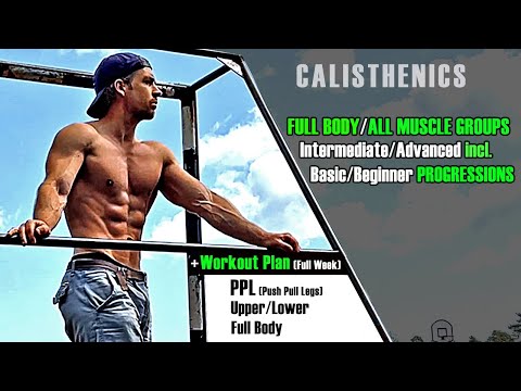 Full Body Calisthenics incl. Workout Plan & Beginner Progressions to Intermediate/Advanced