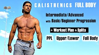 Calisthenics Full Body incl. Workout Plan/Splits & Beginner Progression to Intermediate/Advanced
