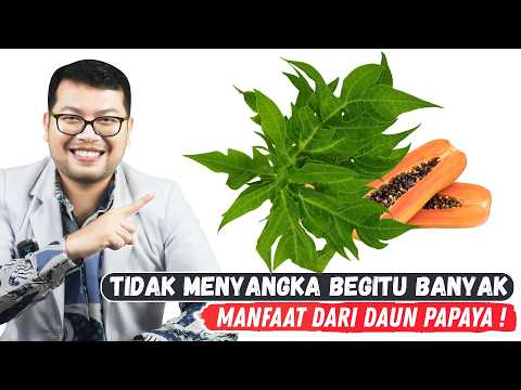 SEGUDANG MANFAAT RAHASIA DAUN PEPAYA YANG WAJIB KAMU TAHU - DOKTER SADDAM ISMAIL