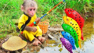Satisfying video Funny Animails Monkey Relaxing Happy Morning Jazz 🎶 January Bossa Nova Instrumental