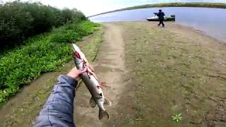 видео