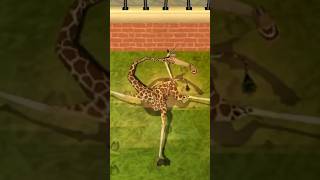 The Unstoppable Force that is Melman