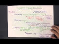 Geography Skills and Processes