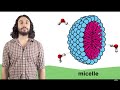 Understanding the Laws of Thermodynamics