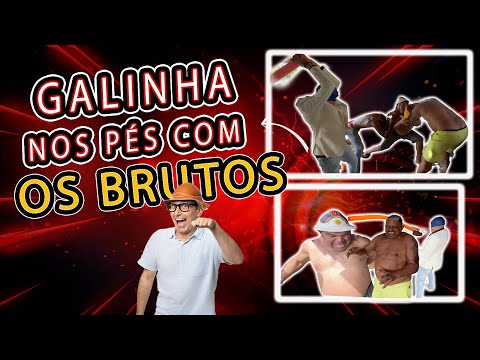 PROVA DA GALINHA NOS PÉS COM OS BRUTOS