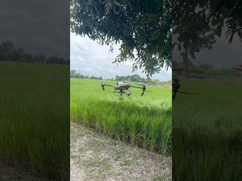 Use drone technology forming tamil #drone #droneforagriculturalspraying