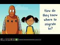 Animal Migration Concepts and Reasons