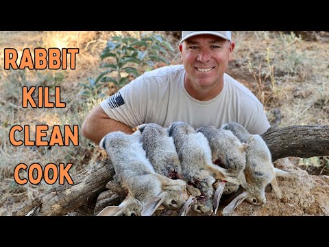 RABBIT :  KILL CLEAN & COOK COTTONTAIL SOUTHWEST EGG ROLLS