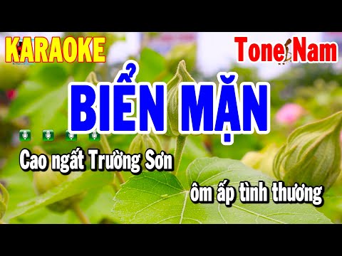 Karaoke Biển Mặn Tone Nam Bm Nhạc Sống Trữ Tình | Karaoke Thanh Hải