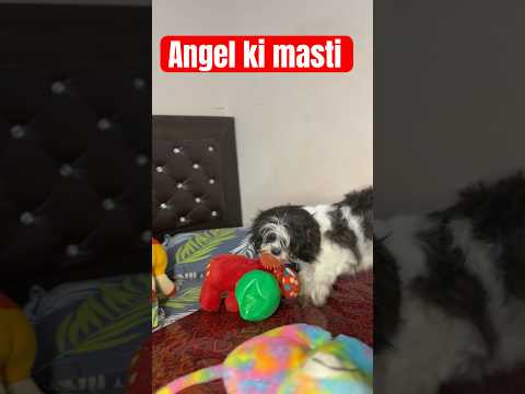Angel ki mastii😝😝#youtube #comedy #youtubeshorts #trending #funny #shorts