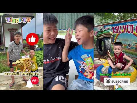 Tổng Hợp Các Video Hay Nhất Nhất Của Team Tippi Phần 14 #tippitv #tippivips