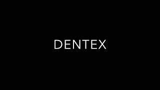 Dentex shore jigging
