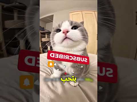 مينفعش تحكم علي البيت من برا😲؟ #اكسبلور #viral #explore