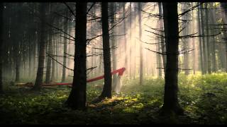 Das Märchen von der Prinzessin, die unbedingt in einem Märchen vorkommen wollte (Trailer)