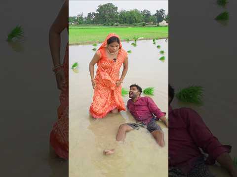 धान लगवाने के बदले चुम्मा मांगा #comedy #funny #funnycomedy #hitcomedy #trending, #viralvideo,