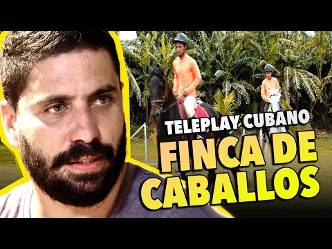 Teleplay Cubano: FINCA DE CABALLOS 🎯