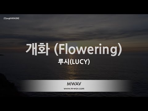 [짱가라오케/노래방] 루시(LUCY)-개화 (Flowering) [ZZang KARAOKE]