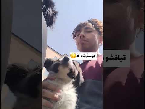 تاسوعای عجیب غریب? #بلاگری #پفک #ولاگ #یوتیوبر
