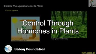 Control Through Hormones in Plants