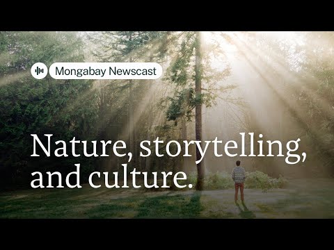 YouTube video thumbnail: How Empathy and Spiritual Ecology can Heal Humanity’s Rift With Nature