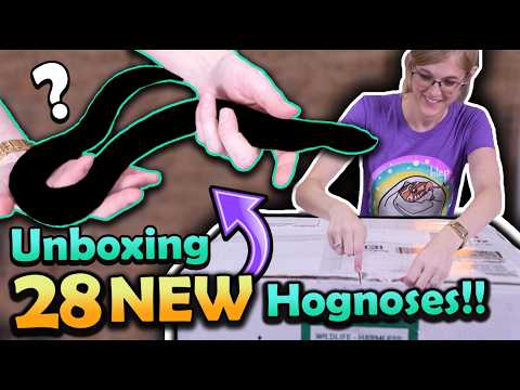Unboxing 28 Hognoses Sent by a Fan!