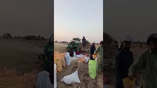 thrasher full vlog | funny video | #shorts