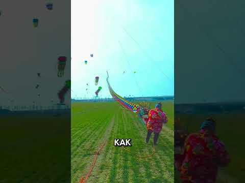 Укрощение воздушного дракона