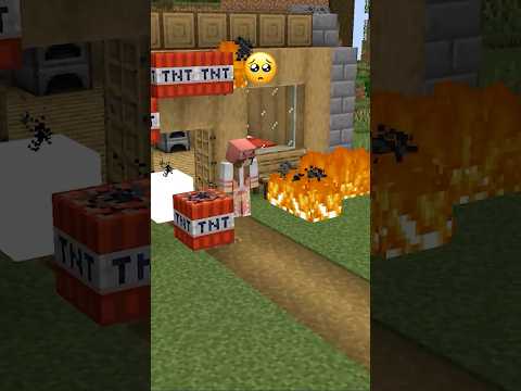 Paradise Dream or Broken Life Choose Reaction #shorts #minecraft #meme