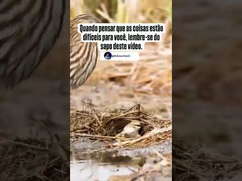 Reflita Sobre esse vídeo!