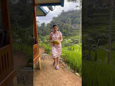 Atos ngala gedang baraya #gadisdesa #rismanirmalasari #shortsvideo