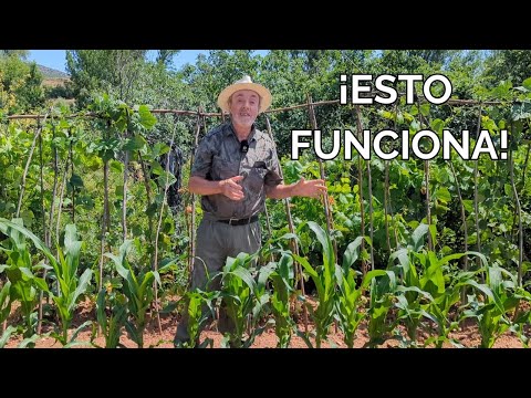 Siempre siembro esto y GARANTIZO COSECHA en la huerta