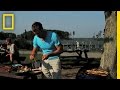 Oyster Farming and Environmental Impact