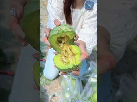 आखिर चांदनी के खरबूज कैसे हैं।। #shorts #youtubeshorts #fruit #melon #farming #farm