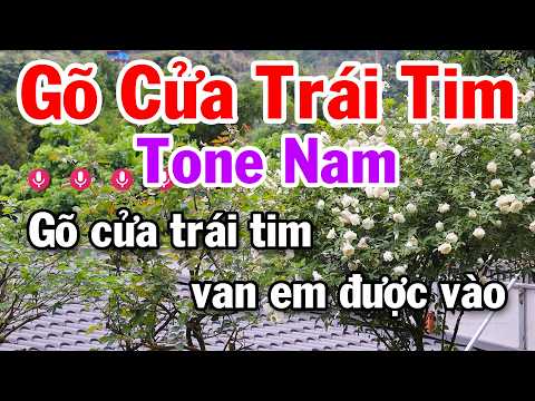 Gõ Cửa Trái Tim Karaoke Tone Nam ( D#m ) Nhạc Trữ Tình Dễ Ca