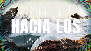 TIZIANO FERRO - CAMINO HACIA LOS MARES feat. SHARONNE (Lyric video)